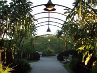 photos 2000-200902531